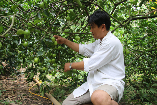 Description: http://www.baodongthap.vn/database/image/2019/07/10/dt2-5a.jpg